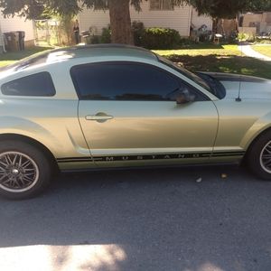 2005 mustang